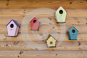 Many bright colored birdhouse and bird feeders on wooden fence. Different birdhouses on wall