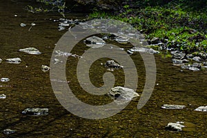 many bright stones in a calm creek