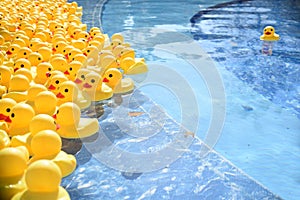 Many bright yellow rubber ducks floating in the pool. Concept of standing out from the crowd and leadership.