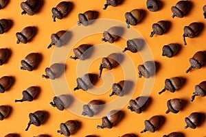 Many brown acorns with caps on over orange color