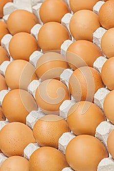 Many brown eggs in boxes in store close up