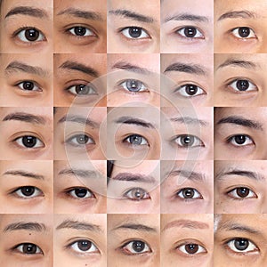 Many Brown Eyes Eyebrows set of Asian Woman 20`s