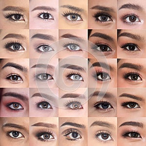 Many Brown Eyes Eyebrows set of Asian Woman 20`s photo