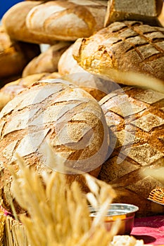 Many brown rustic fresh rye bread loaves