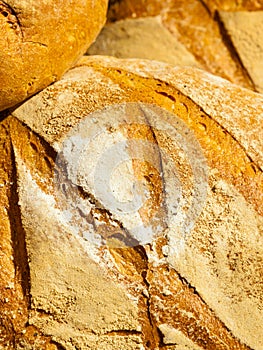 Many brown rustic fresh rye bread loaves as food background