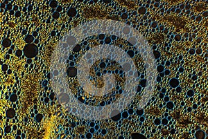 Many bubbles circles macro background