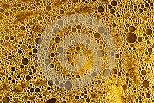 Many bubbles circles macro background