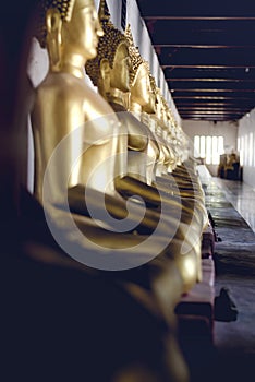 Many Buddha images