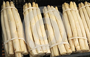 many bunches of big ripe white asparagus for sale at the greengr