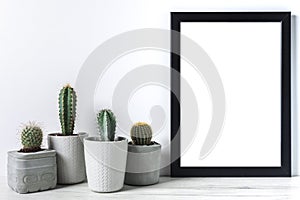 Many cactuses in concrete pots on white background and black empty picture frame