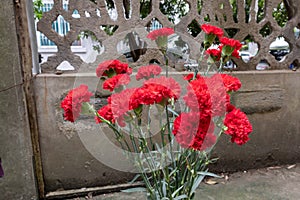 Red carnation-Flower arrangement-