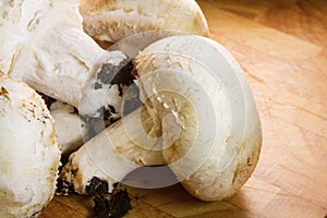 Many champignon mushrooms