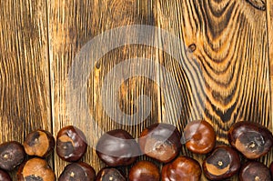 Many chestnut fruits are located on a wooden table top view. top copy space