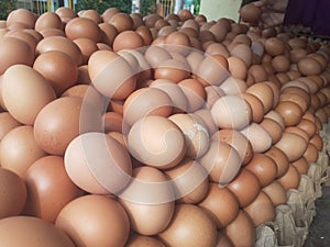 Many chicken eggs in wooden crates