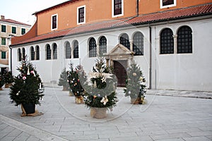Christmas trees near St. Simon`s Church. Zadar. Croatia.