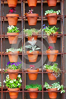 Many clay flower pots with indoor plants.