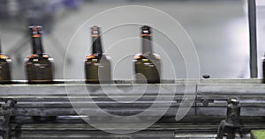 Many clean glass brown bottles are quickly moving along conveyor line, closeup.