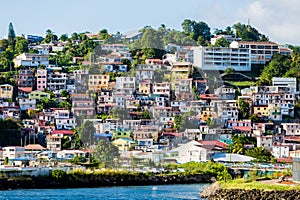 Many Colored Homes up Hill on Martinique photo