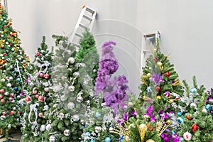 Many colorful Christmas tree decoration.