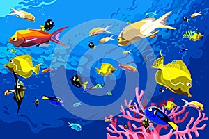 Many colorful fish swim under water