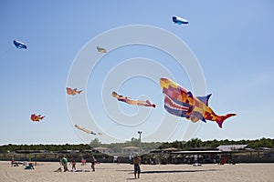 Many colorful kites flying on the beach. Rosolina Mare, Veneto, Italy