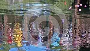 Many Colorful Rubber Ducks In River With Reflections