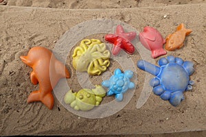 Many colorful sand toy cups in the sandbox . Sandy motto : marine animals and shapes . Children\'s toys .