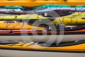 Many Colorful Sea Kayaks