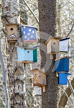 Many Colorful and unique Birdnests houses or Birdhouses on Tree.