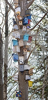 Many Colorful and unique Birdnests houses or Birdhouses on Tree.