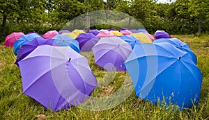 Many coloured open umbrellas