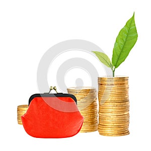 Many columns of gold coins, red purse and green plant