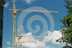 Many construction cranes on blue sky - construction site