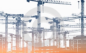 Many construction cranes - construction site