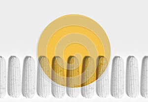 Many corn cobs lie in a row on a yellow and white round section background. Creative idea, decorative conceptual composition.