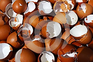 Many cracked brown chicken egg shells