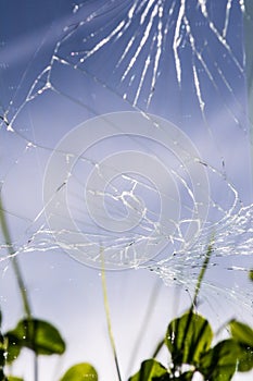 Many cracks on the mobile phone screen, selective focus, reflection on the glass of green grass, blue sky