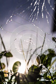 Many cracks on the mobile phone screen, selective focus, reflection on the glass of green grass, blue sky and sun