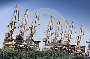 Many cranes