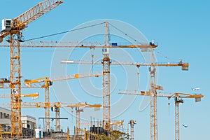 Many cranes on building site - construction cranes on blue sky