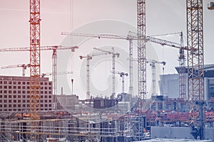 Many cranes and construction workers on construction site