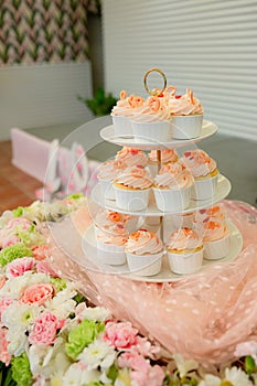 many cupcakes on shelf shelves in wedding party. dessert serving for wedding guest.