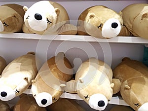 Many cute animal dolls on orderly shelves