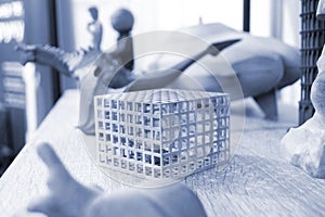 Many different art models from polyamide powder printed on 3D printer Technology