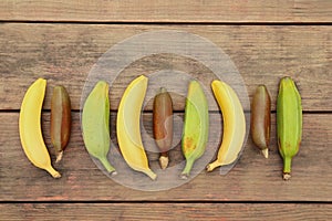 Many different bananas on wooden table, flat lay