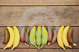 Many different bananas on wooden table, flat lay. Space for text