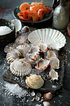 many different beautiful shells. selective focus.