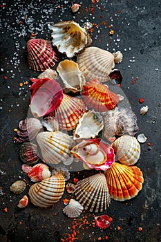 many different beautiful shells. selective focus.