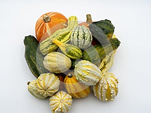 Many different colorful pumpkins on a white background. Halloween, harvest or fall concept. Small ornamental pumpkins