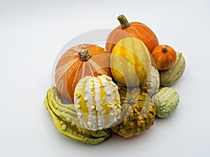 Many different colorful pumpkins on a white background. Halloween, harvest or fall concept. Small ornamental pumpkins